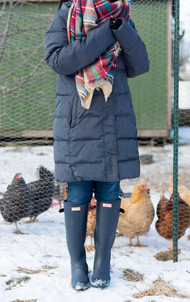 Chickens and Hunter Boots