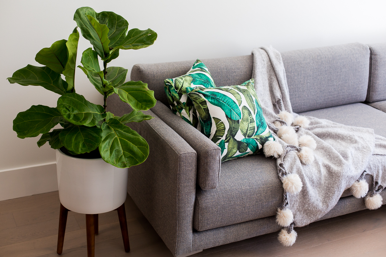CB2 district dove sectional fiddle leaf