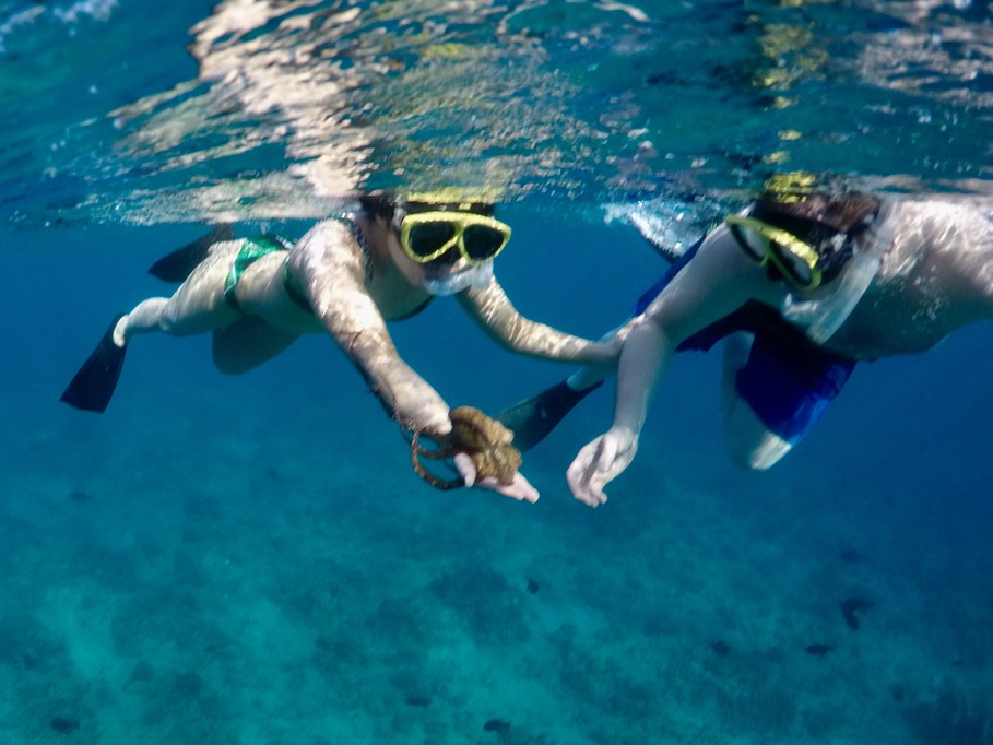 Hawaii snorkel adventure