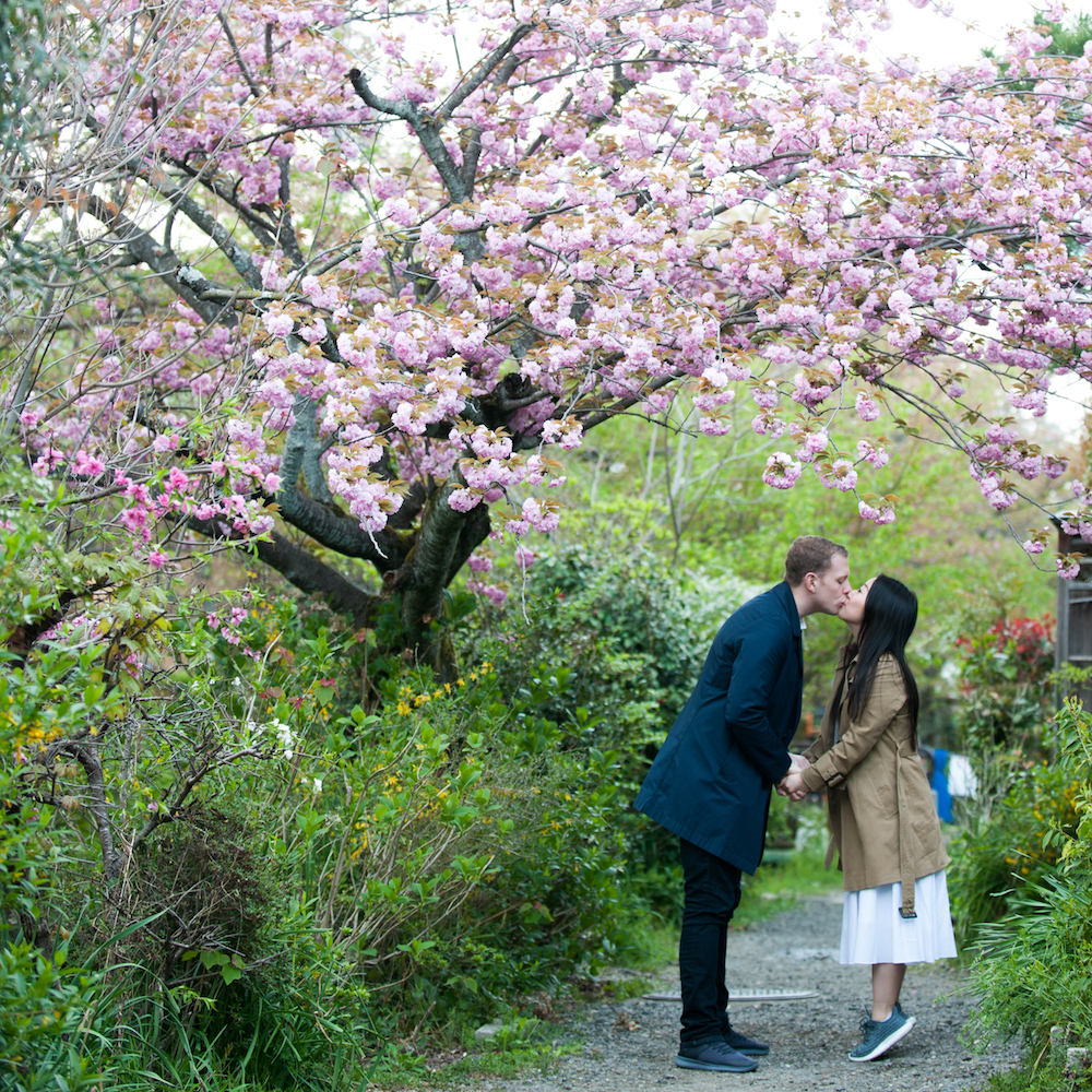 Japan Sakura cherry blossom engagement photo